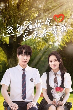 我知道你会在未来等我