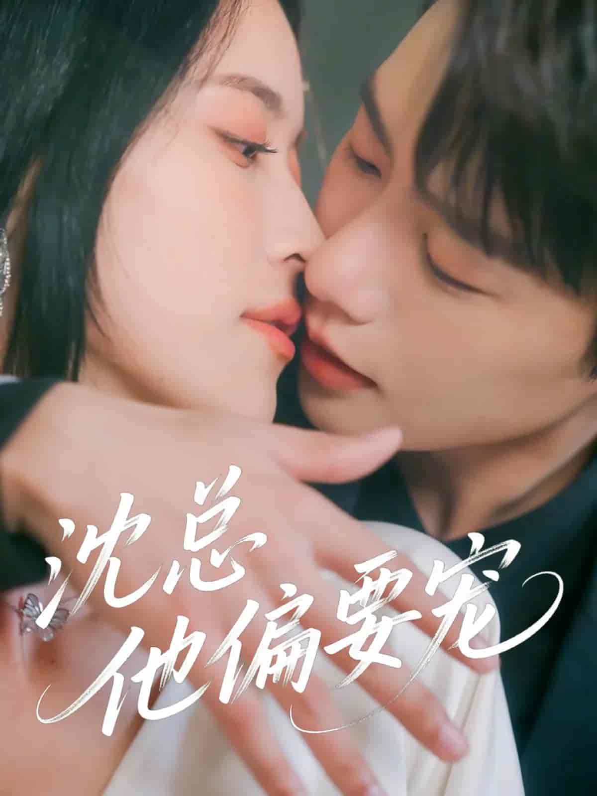 沈总他偏要宠(全集)