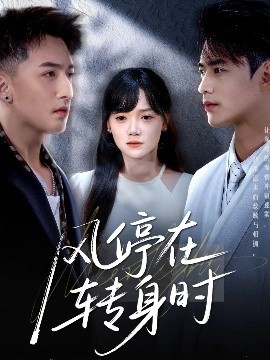 风停在转身时(全集)
