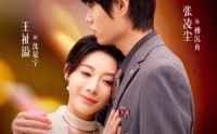 冤家宜婚不宜分(全集)