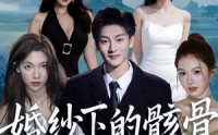 婚纱下的骸骨(全集)